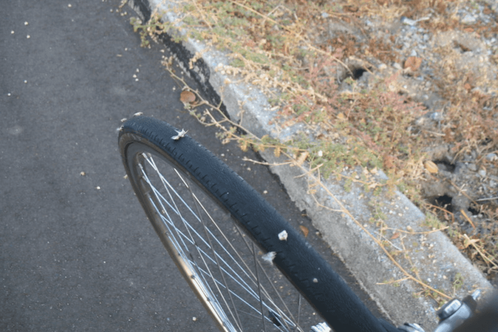 what type of bike tires can prevent goatheads 1